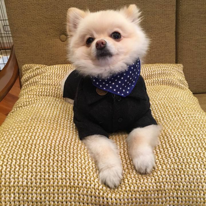 C7478b6e a56d 4052 8389 2f49da5d0e63 1552095396897