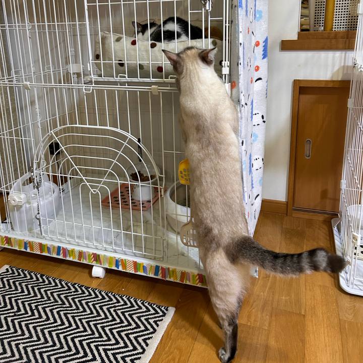 C7478cbc 81d8 4d67 85d9 5538239597df 1757677865717