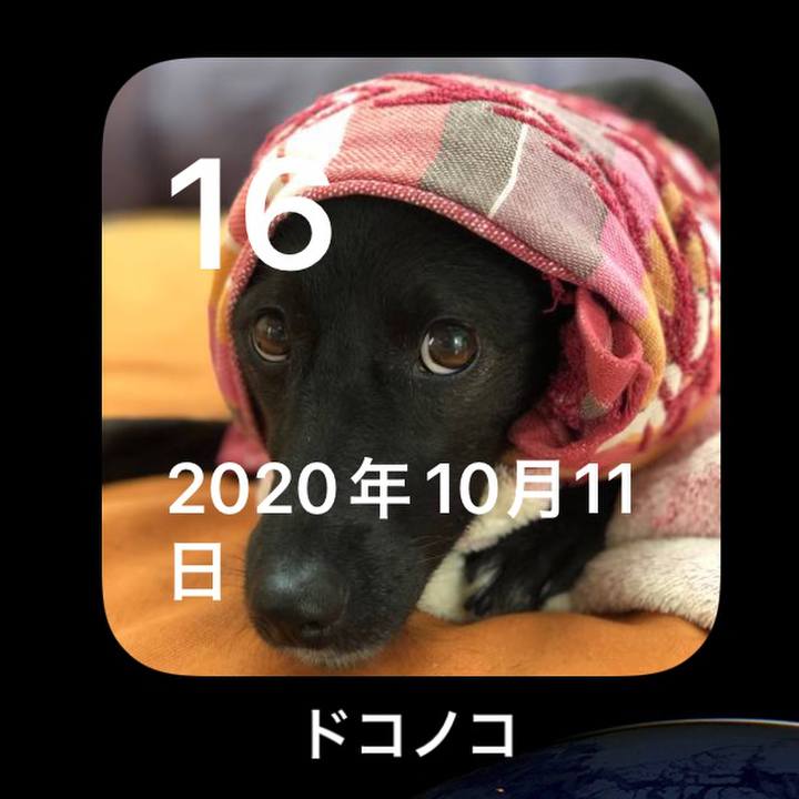 C747abc4 a4d9 4429 a2c2 5023d37268bc 1634388058306