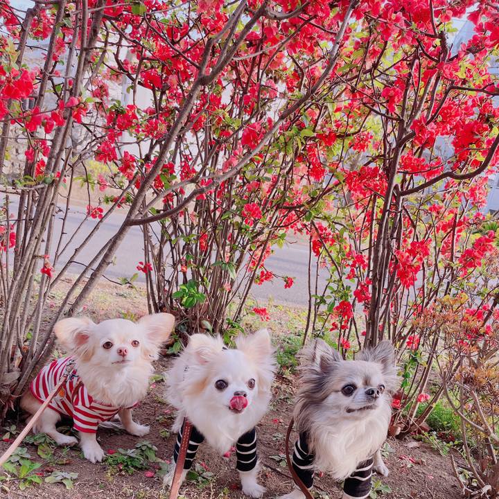 C747fafa f777 43ec 88ad ac0e95cdf0cf 1679382424578