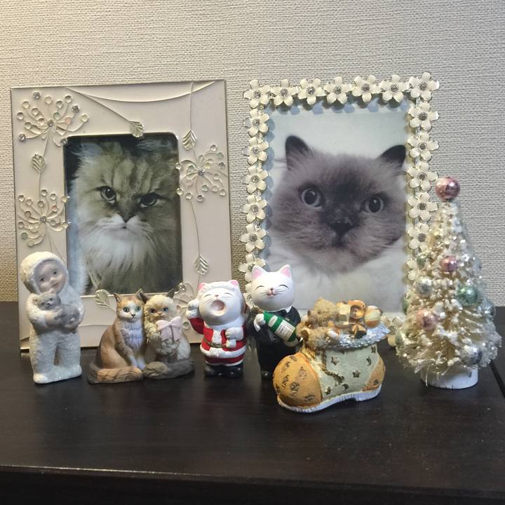 C747ff94 1036 46b5 8b52 00f78beefb40 1545668294569