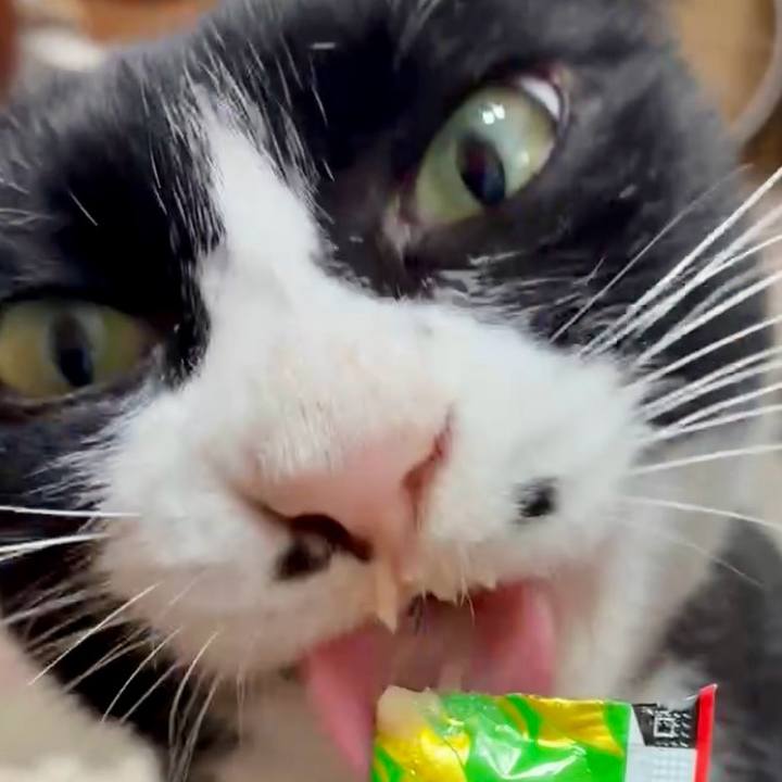 C74808bd f9f2 4893 9254 a1cadad402a3 1756520262586