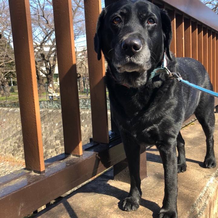 C7482355 1b7f 4b45 b2bc 5157708d0c50 1550019118080