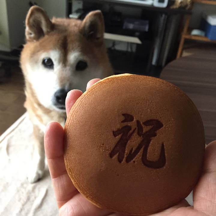 C7485139 7e05 4a99 a036 adfb9eb3ecde 1556706533618