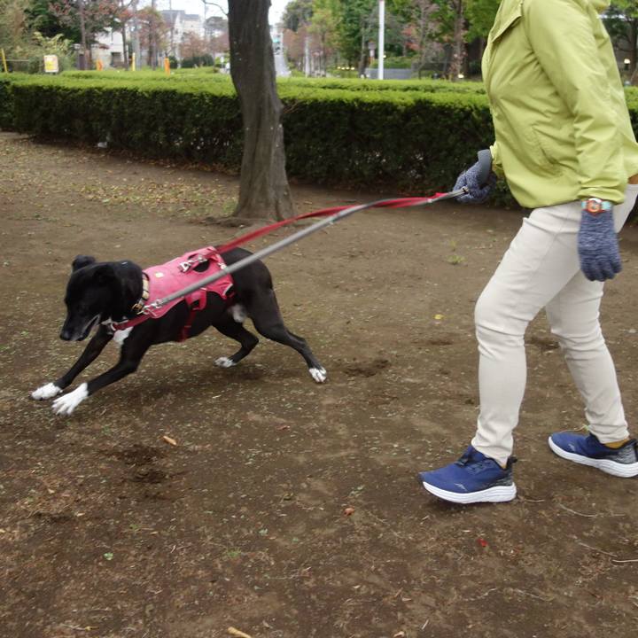 C7487af6 85b6 4c2e a97f 77fdc4ff104b 1699750916230