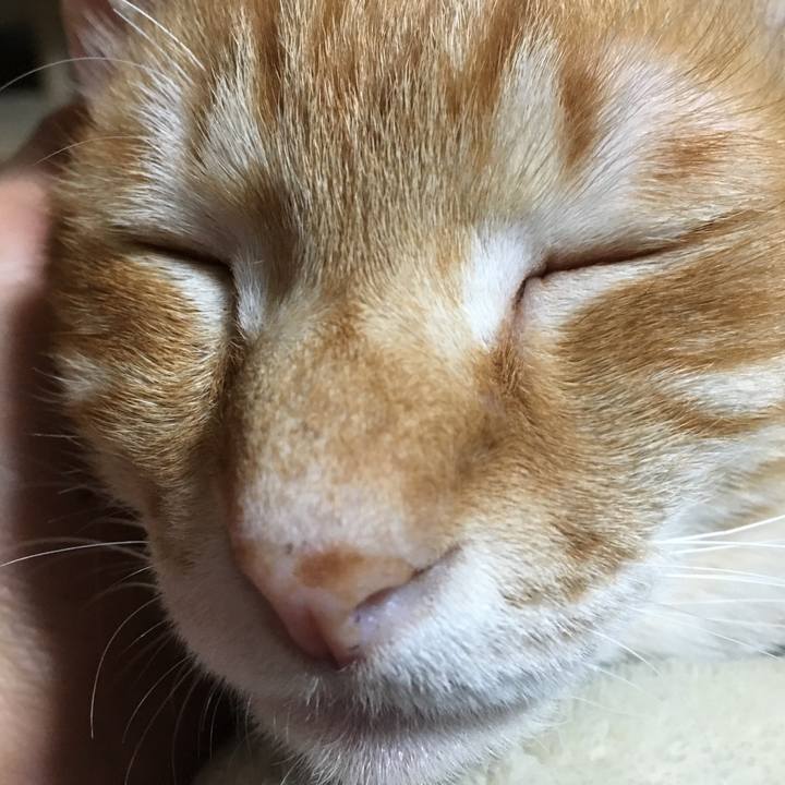 C748830e b894 4050 8190 716ed7fd42f5 1518368823367