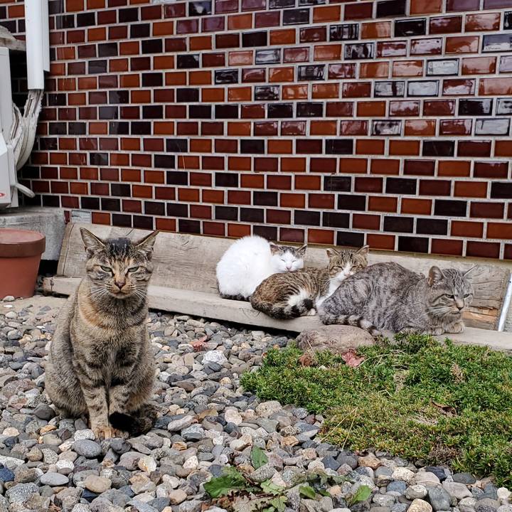 C748b4b2 9b7b 4d04 b2dc 92ad832ea734 1699895325911