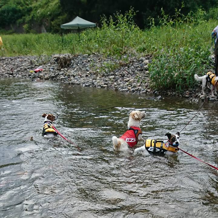 C748b95c 3629 4c4e b75e 23c081f293be 1597388690258