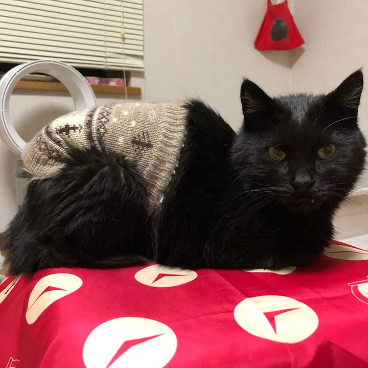 C748c7b4 59ff 4538 adfa 94b2beb1e038 1634562723850