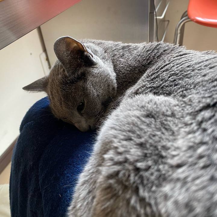 C748f99c 6cba 44e7 b47d b7cb630c5201 1606459026602