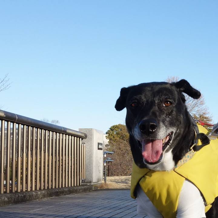 C749b3cf a314 453e a2db b133066144fa 1738889101280