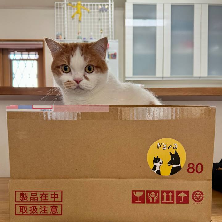 C749fe1b ea0e 4350 9749 5179e5f32aee 1767317906618