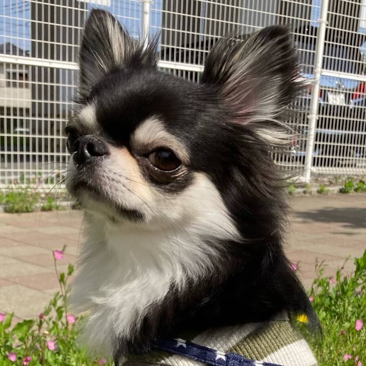 C74a3434 0700 41f8 bc5d 8a088cae45c8 1651982700595