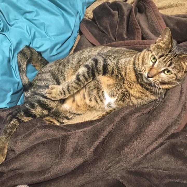 C74a37b5 f58d 41b9 a5c3 2107260a7914 1519392936423