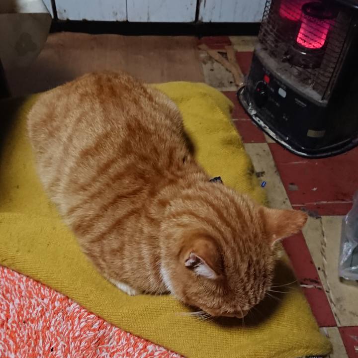 C74a5654 56e7 4338 92d2 026ac8ca579c 1570741613743