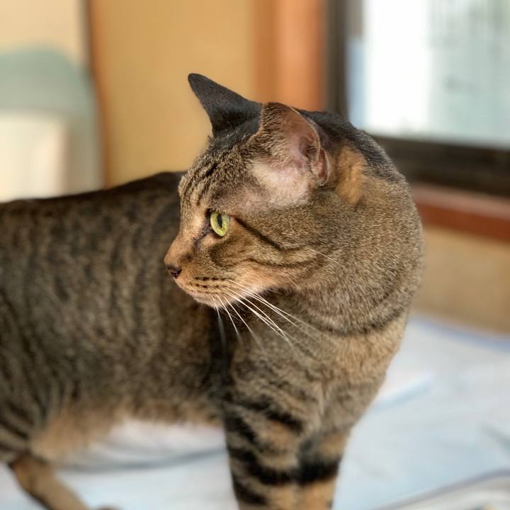 C74a5bd2 adfb 4b71 946d 4788765984f6 1570409616585