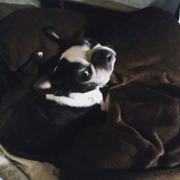 C74aa0bb 613e 488b 9c74 62b885470b44 1513530094031