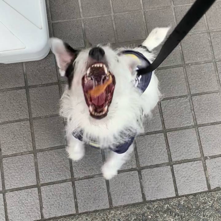 C74aa61e 2fb4 4afb 9c57 d4d0264a8808 1663746755798