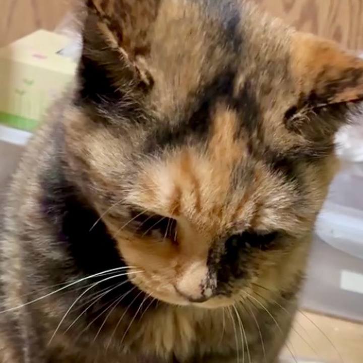 C74ab8c5 6c61 4eb6 bc16 a0d3d14a3007 1755980419035