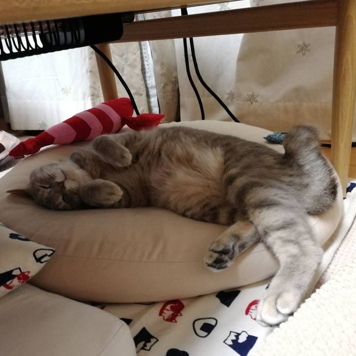 C74b0042 d584 4588 a0b2 ad8d125084eb 1524531744534