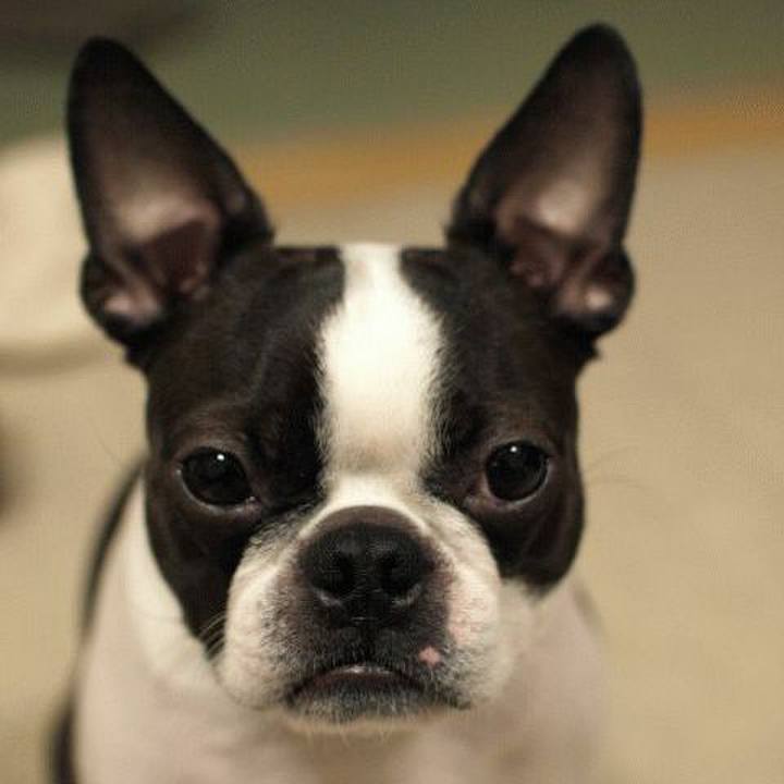 C74b00e5 c8af 4e36 98cd 79f183e34b87 1553850758180