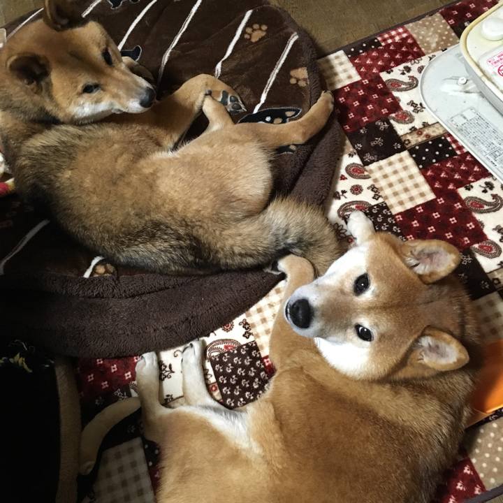 C74b05c6 7fc6 47dd 8b7e f94ee923c2ec 1580049856660