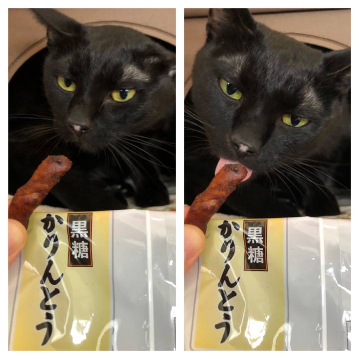 C74b0e8b 86f5 4434 9719 bb9e2786fd72 1661049201916