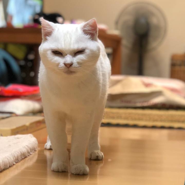 C74b1255 fc22 40e5 8eb1 271c37514b16 1534843659645