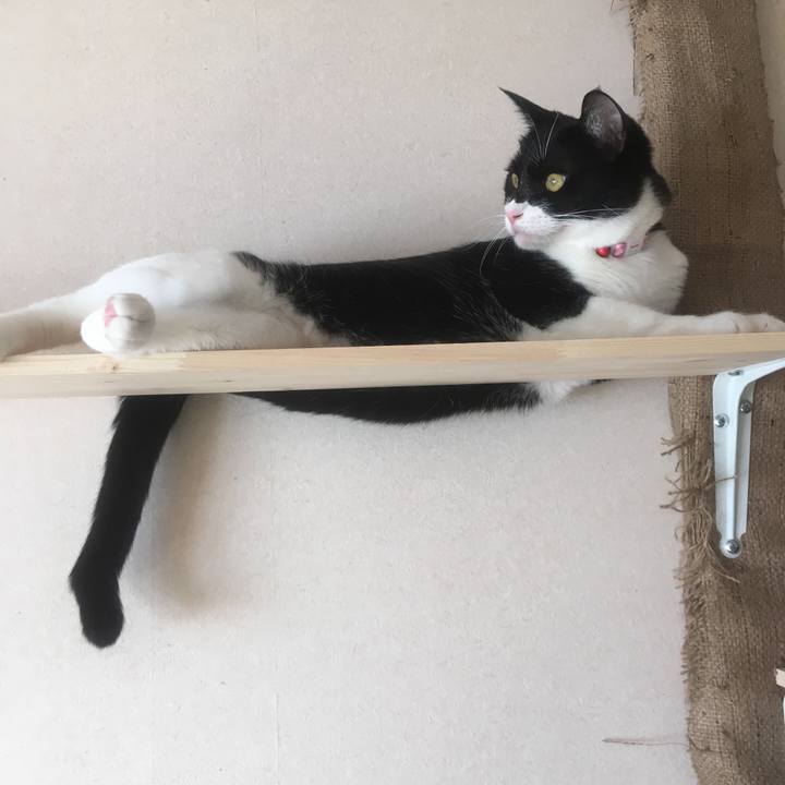 C74b28ba 781c 4614 a2c9 5d61b7639f53 1540203184415