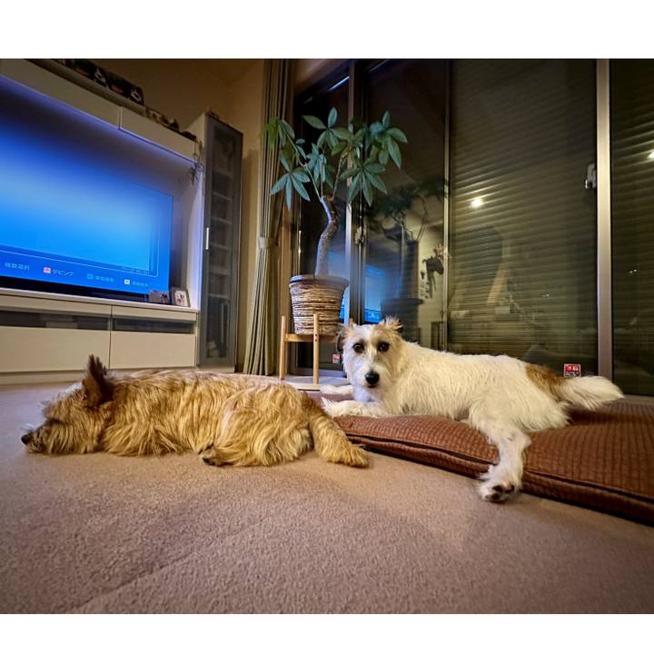 C74b36bf 1ede 48f7 91e0 180284584d23 1751978995089