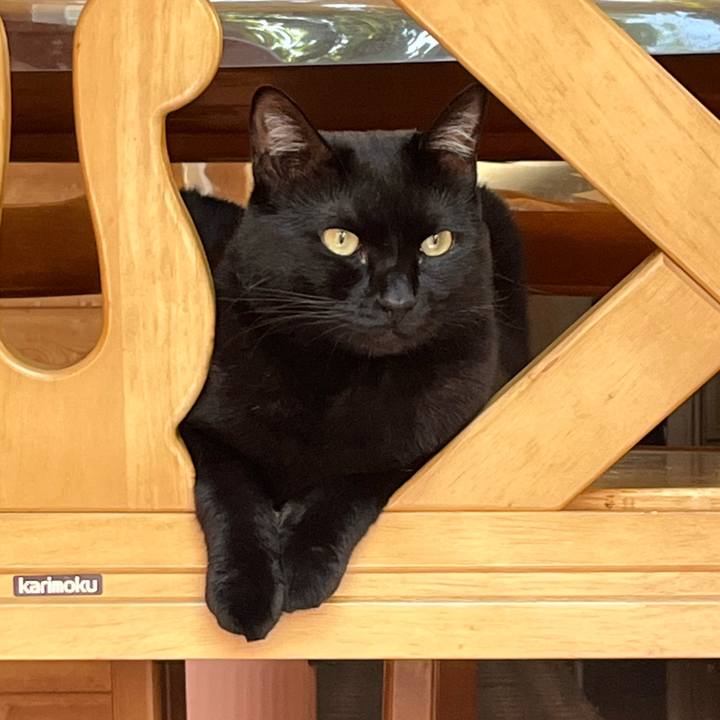 C74b54ea 7814 4c50 bede 285ba70764d2 1660342353813