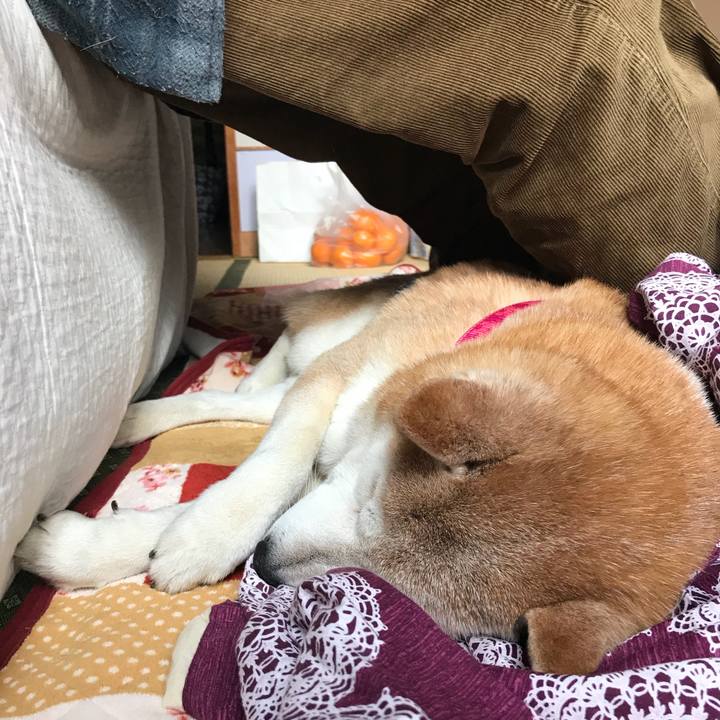 C74b795f 0be6 4133 bac4 1030d172d2b3 1513656085132