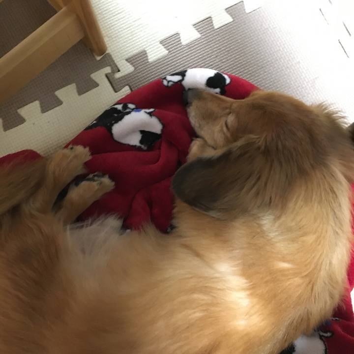 C74b7fe9 956d 45fb 83d2 76823f06c7ce 1581852513802