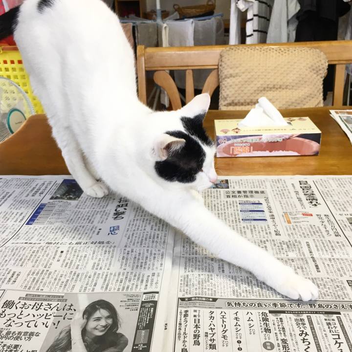 C74b9589 b421 49d1 ba12 25457ff2ce3f 1528244527327