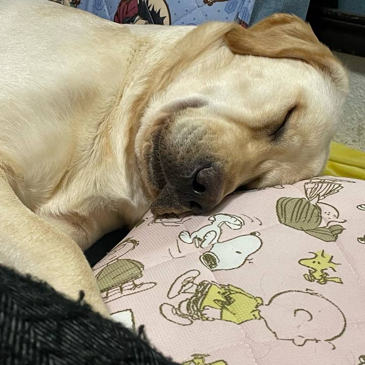 C74b96ac eff3 41ef aca8 7e8e8e367e11 1644745261745