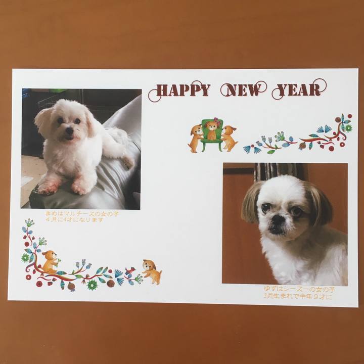 C74ba7cc 09e5 41b4 879b cc5377fd02c6 1514774153701