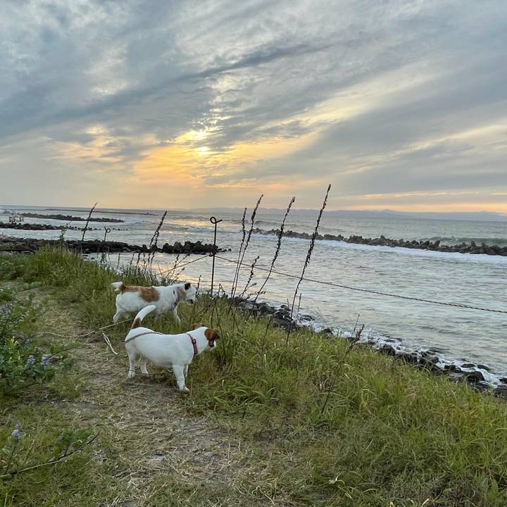 C74bbce0 2916 4edd 9f51 621de91bc7ca 1631607487915