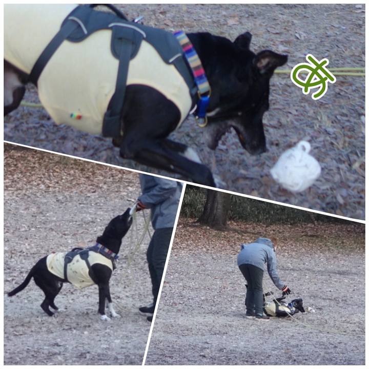 C74bbdb3 59d3 4a93 958b dce8bf6795de 1642035809863