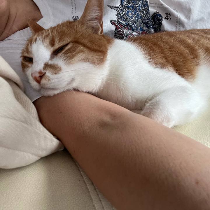 C74c215f 65a4 4b16 8223 ff24fb72ebd3 1694899844119