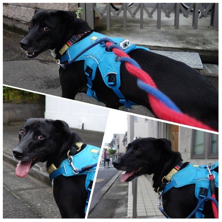 C74c2caa 55e8 43e9 bf98 894cf359dda2 1623848214736