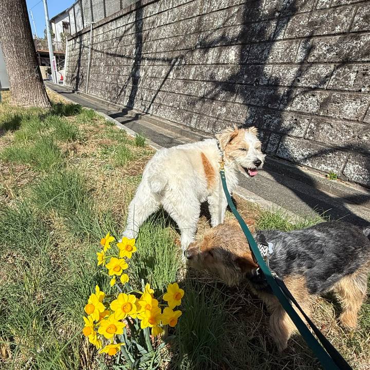 C74c3eb8 eb82 437c b023 e84e26aad90b 1772684680060