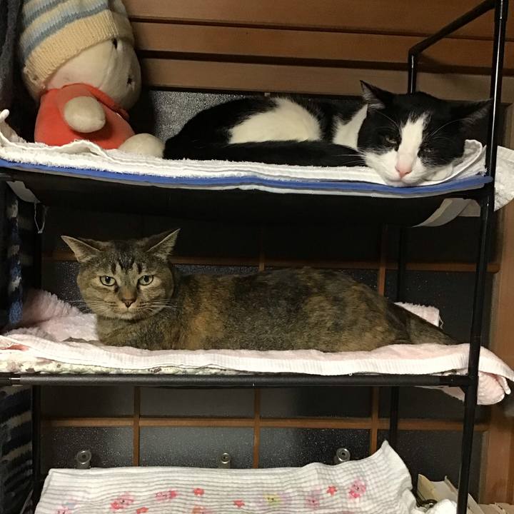 C74c6803 b7ca 425d 8a58 969dab1db334 1757679906827