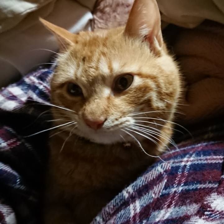 C74cccf6 e3c9 41cb b1bd 021b0096f795 1642455469462