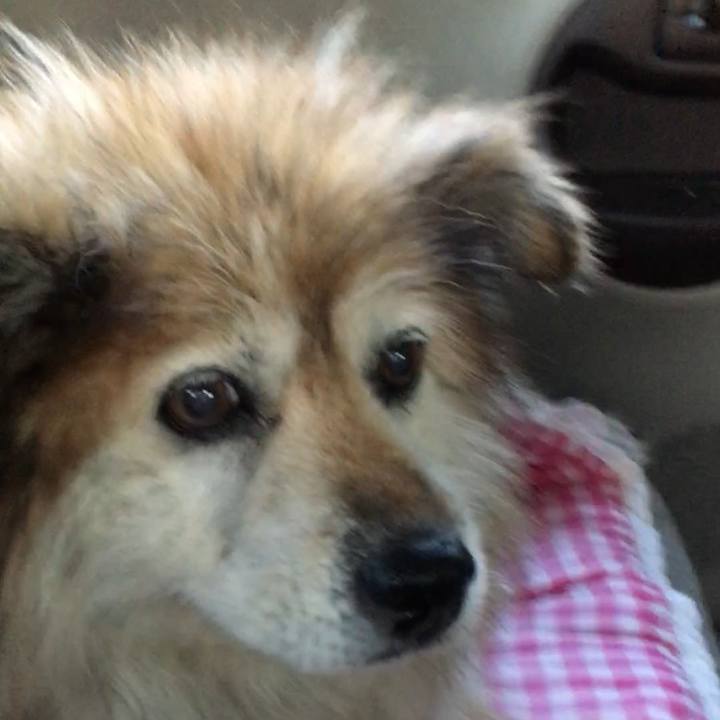 C74cd88b 654d 4807 b845 ae0465c2c3c2 1601237597089