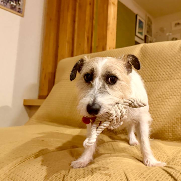 C74cf9bd acb6 48a9 b425 d0627d182bda 1766329145637