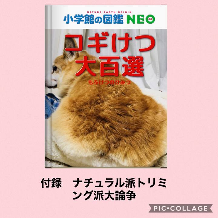 C74cf9f8 3922 44b3 af63 f62108026f5d 1578221452724