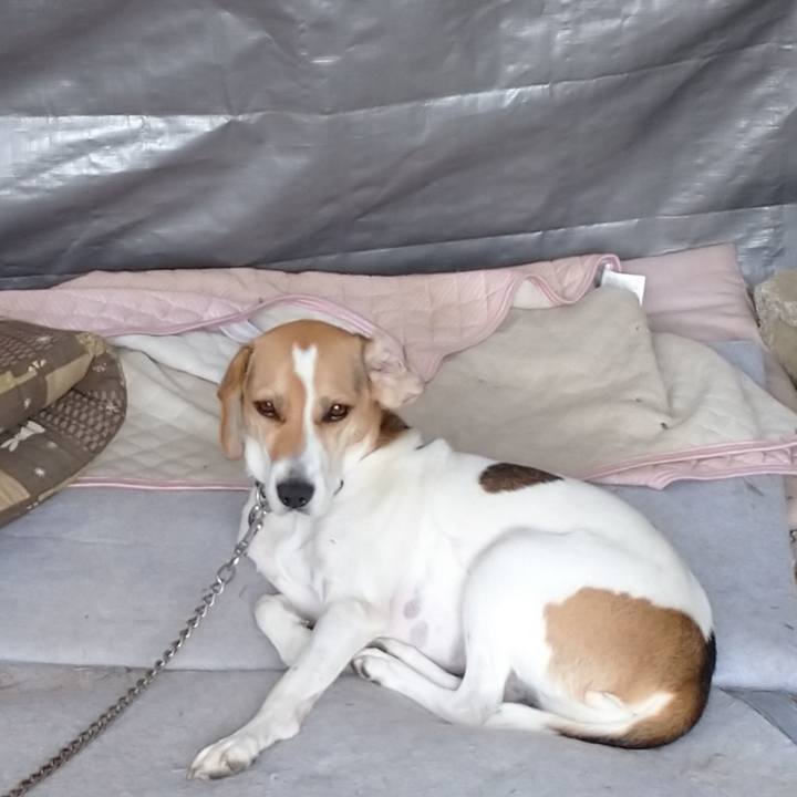 C74d08cb 9b65 4b37 acbb 61b915a80b99 1603457872806