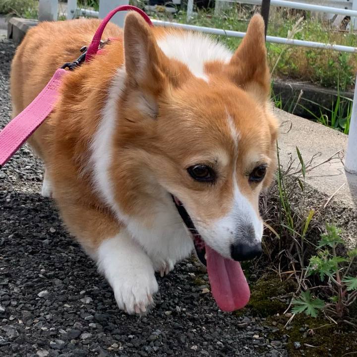 C74d1abd 57f2 46f8 92a8 c7f82e200147 1683337573293