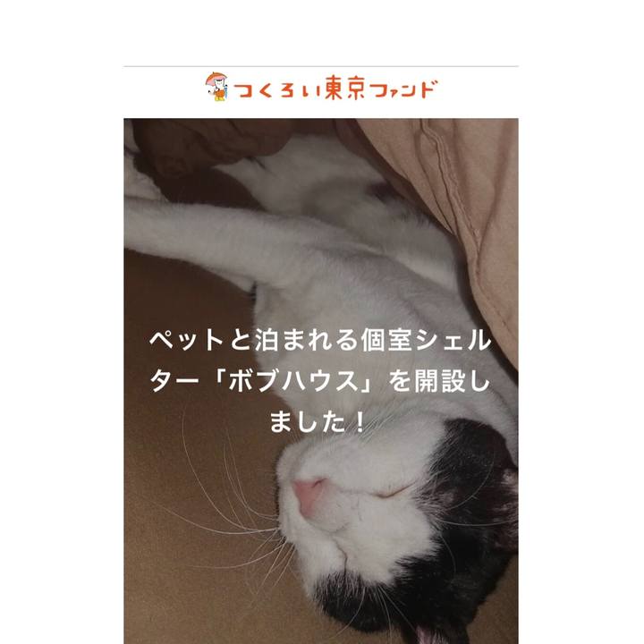 C74d1b54 bbbd 48e4 823d 3fd32119a7cf 1610021483554