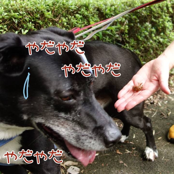 C74d25f0 2f7b 43fe ac5c bc0c719182fe 1721267845861